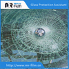Pet Adhesive Surface Protective Film